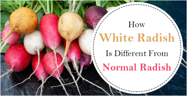 How White Radish Is Different From Normal Radish