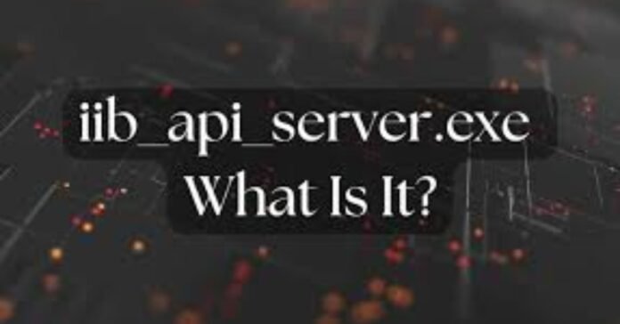 iib_api_server.exe what is